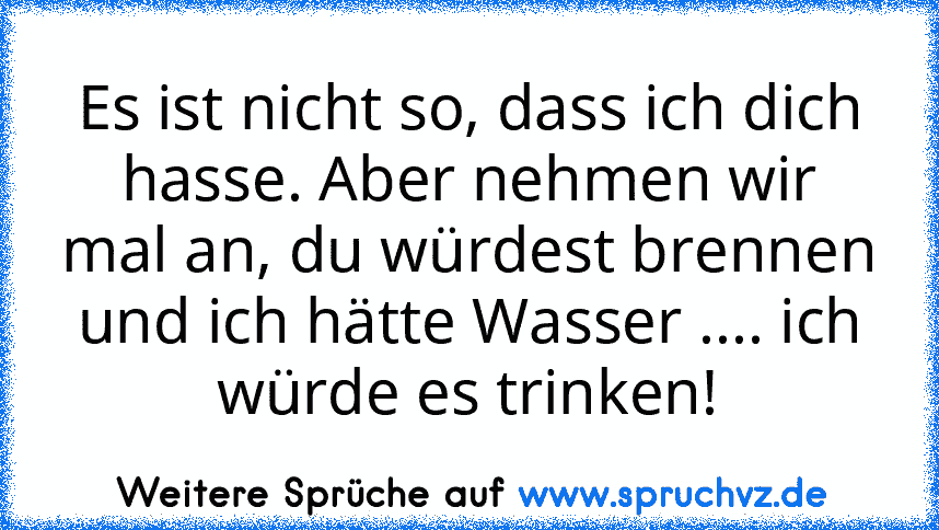 Es ist nicht so, dass ich dich hasse. Aber nehmen wir mal an, du würdest brennen und ich hätte Wasser .... ich würde es trinken!