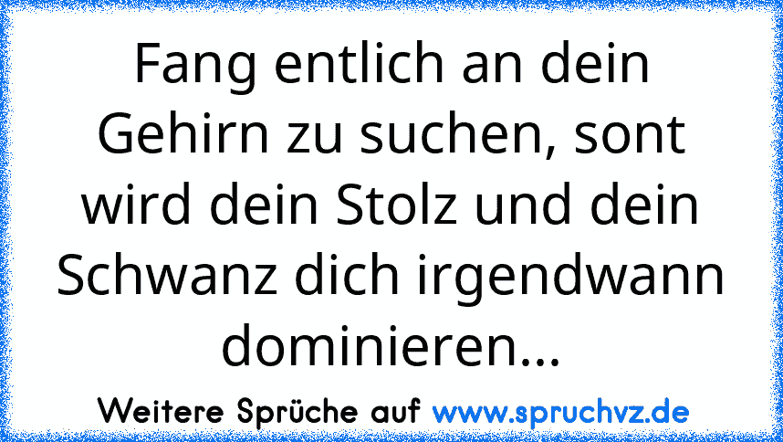 Fang entlich an dein Gehirn zu suchen, sont wird dein Stolz und dein Schwanz dich irgendwann dominieren...