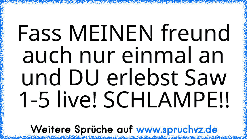 Fass MEINEN freund auch nur einmal an und DU erlebst Saw 1-5 live! SCHLAMPE!!