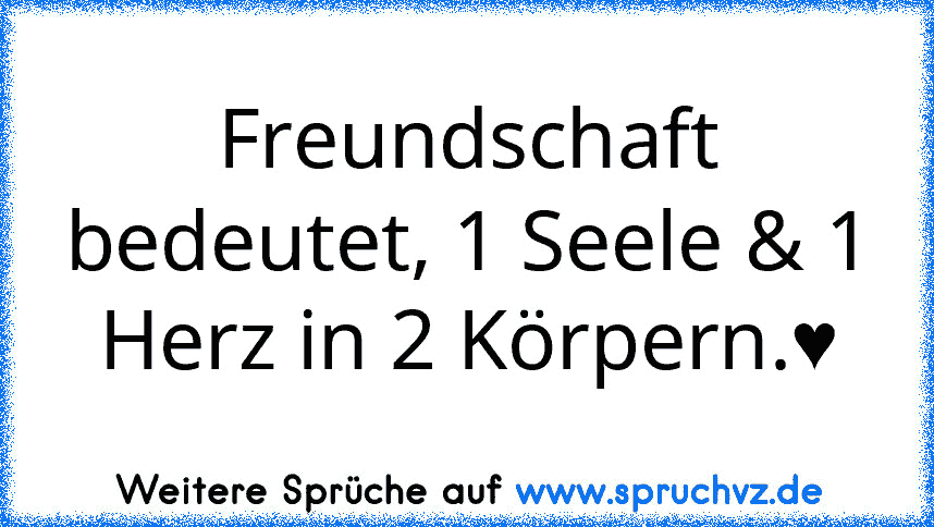 Freundschaft bedeutet, 1 Seele & 1 Herz in 2 Körpern.♥