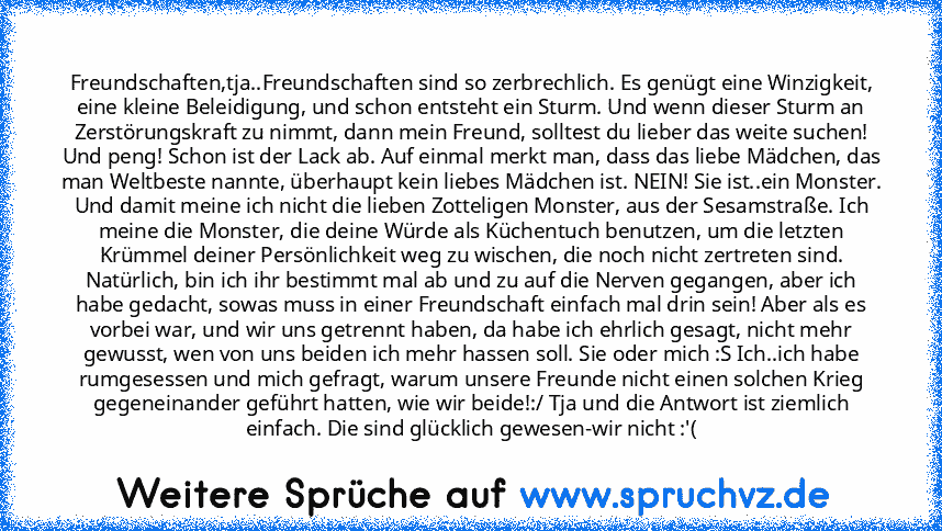 Freundschaften,tja..Freundschaften sind so zerbrechlich. Es genügt eine Winzigkeit, eine kleine Beleidigung, und schon entsteht ein Sturm. Und wenn dieser Sturm an Zerstörungskraft zu nimmt, dann mein Freund, solltest du lieber das weite suchen! Und peng! Schon ist der Lack ab. Auf einmal merkt man, dass das liebe Mädchen, das man Weltbeste nannte, überhaupt kein liebes Mädchen ist. NEIN! Sie i...