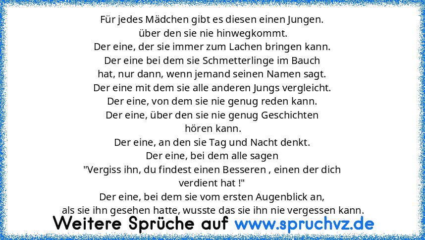 Für jedes Mädchen gibt es diesen einen Jungen.
 über den sie nie hinwegkommt.
Der eine, der sie immer zum Lachen bringen kann.
Der eine bei dem sie Schmetterlinge im Bauch
hat, nur dann, wenn jemand seinen Namen sagt.
Der eine mit dem sie alle anderen Jungs vergleicht.
Der eine, von dem sie nie genug reden kann.
Der eine, über den sie nie genug Geschichten
 hören kann.
Der eine, an den sie Tag ...