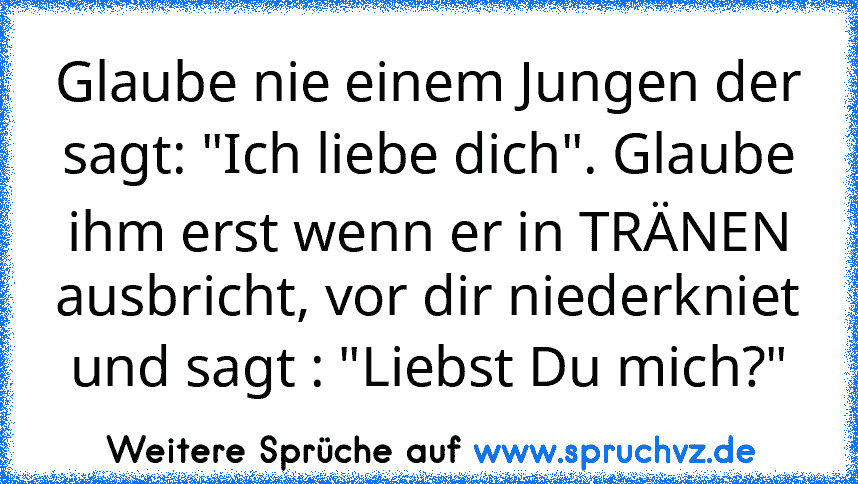 Glaube nie einem Jungen der sagt: "Ich liebe dich". Glaube ihm erst wenn er in TRÄNEN ausbricht, vor dir niederkniet und sagt : "Liebst Du mich?"