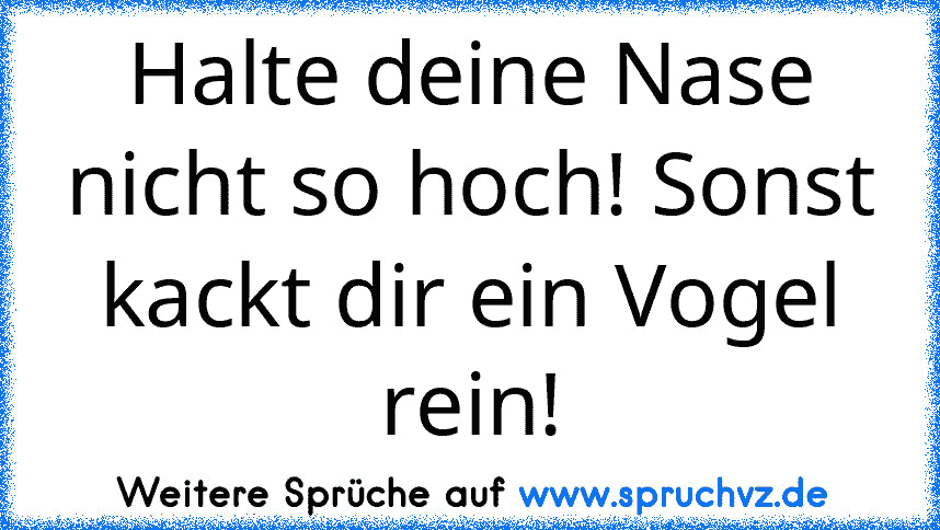 Halte deine Nase nicht so hoch! Sonst kackt dir ein Vogel rein!