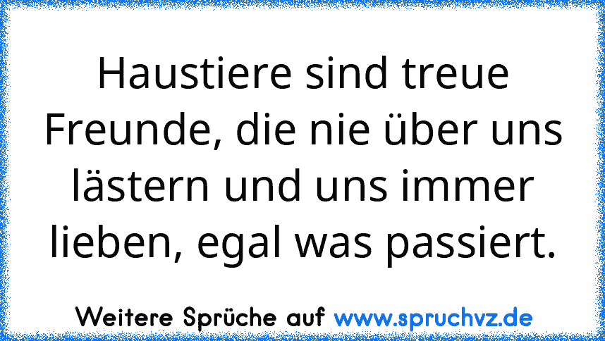 Haustiere sind treue Freunde, die nie über uns lästern und uns immer lieben, egal was passiert.