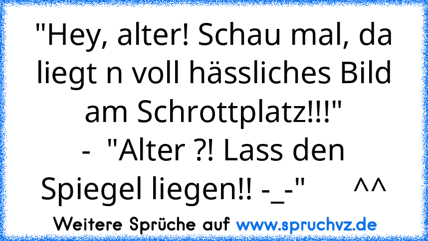 "Hey, alter! Schau mal, da liegt n voll hässliches Bild am Schrottplatz!!!"
-  "Alter ?! Lass den Spiegel liegen!! -_-"      ^^