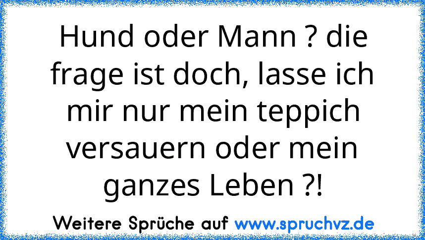 Hund oder Mann ? die frage ist doch, lasse ich mir nur mein teppich versauern oder mein ganzes Leben ?!