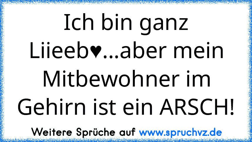 Ich bin ganz Liieeb♥...aber mein Mitbewohner im Gehirn ist ein ARSCH!