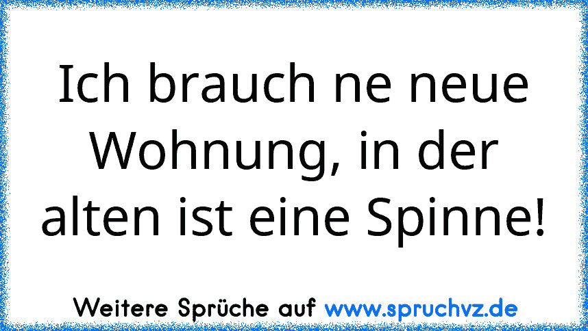 Ich brauch ne neue Wohnung, in der alten ist eine Spinne!