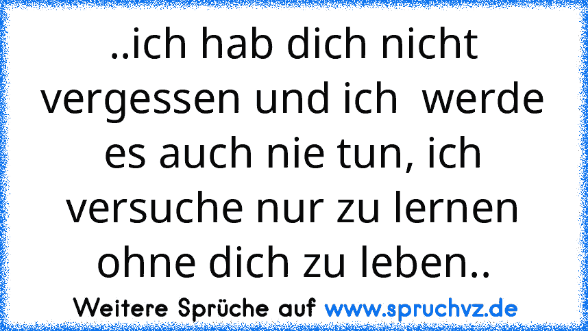 ..ich hab dich nicht vergessen und ich  werde es auch nie tun, ich versuche nur zu lernen ohne dich zu leben..