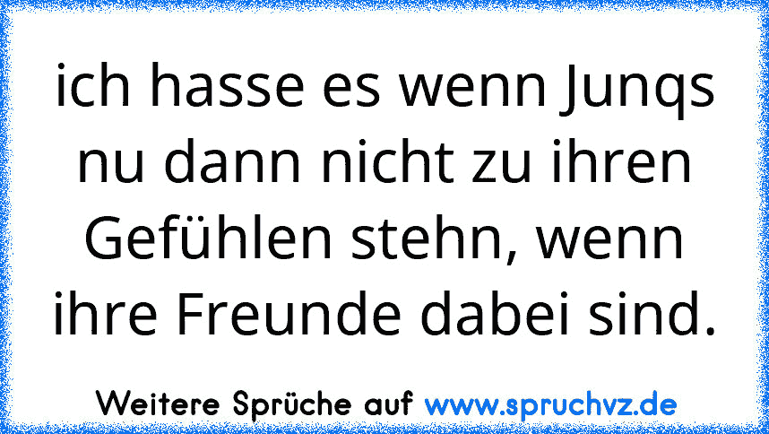 ich hasse es wenn Junqs nu dann nicht zu ihren Gefühlen stehn, wenn ihre Freunde dabei sind.