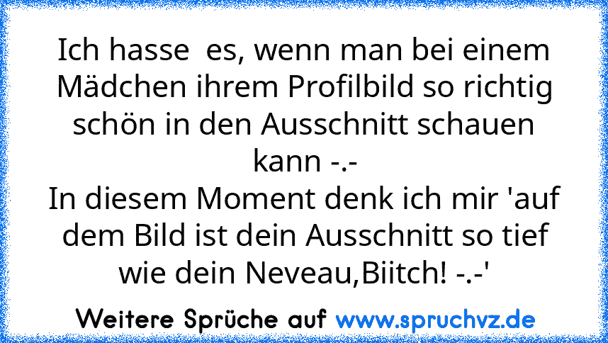 Ich hasse  es, wenn man bei einem Mädchen ihrem Profilbild so richtig schön in den Ausschnitt schauen kann -.-
In diesem Moment denk ich mir 'auf dem Bild ist dein Ausschnitt so tief wie dein Neveau,Biitch! -.-'