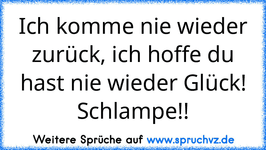 Ich komme nie wieder zurück, ich hoffe du hast nie wieder Glück! Schlampe!!