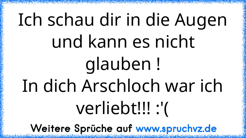 Ich schau dir in die Augen und kann es nicht glauben !
In dich Arschloch war ich verliebt!!! :'(