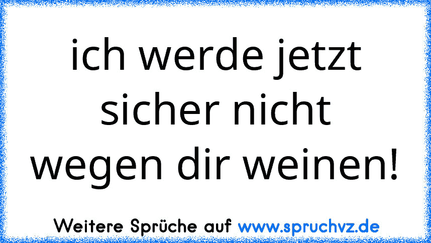 ich werde jetzt sicher nicht wegen dir weinen!