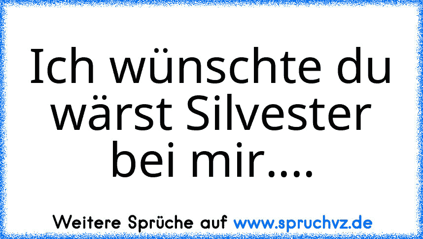 Ich wünschte du wärst Silvester bei mir....