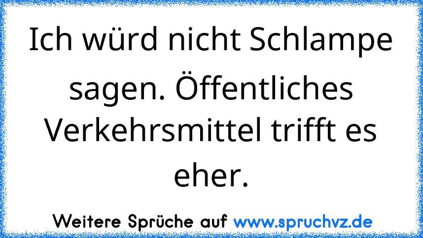 Ich würd nicht Schlampe sagen. Öffentliches Verkehrsmittel trifft es eher.