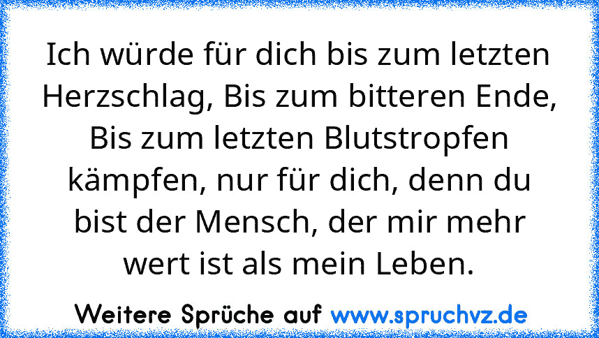 Ich würde für dich bis zum letzten Herzschlag, Bis zum bitteren Ende, Bis zum letzten Blutstropfen kämpfen, nur für dich, denn du bist der Mensch, der mir mehr wert ist als mein Leben.