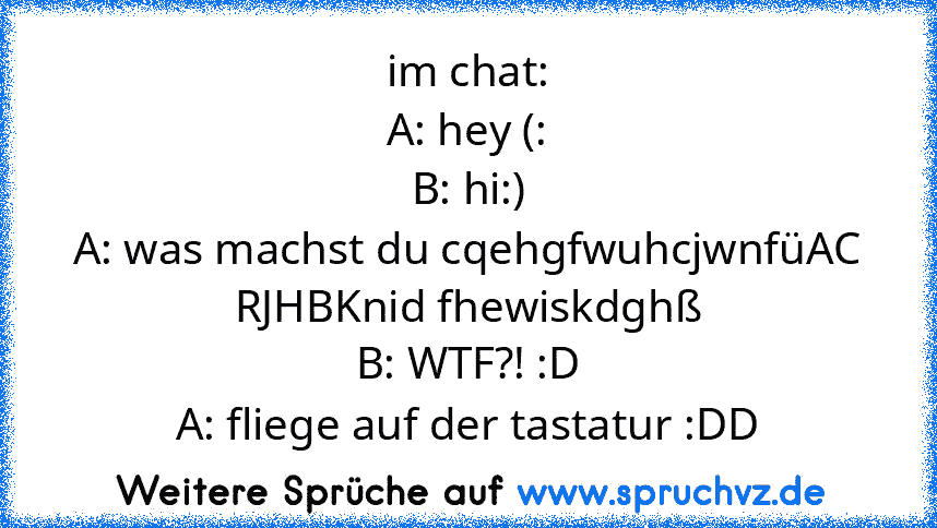 im chat:
A: hey (:
B: hi:)
A: was machst du cqehgfwuhcjwnfüAC RJHBKnid fhewiskdghß
B: WTF?! :D
A: fliege auf der tastatur :DD