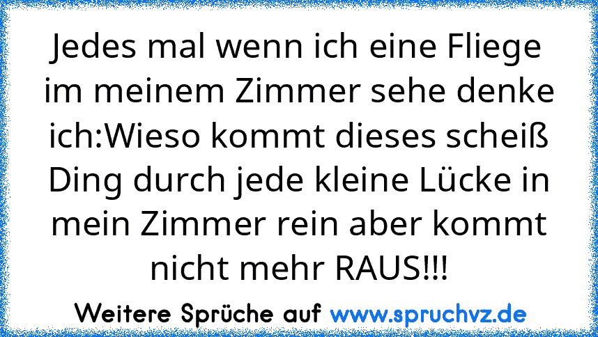 Jedes mal wenn ich eine Fliege im meinem Zimmer sehe denke ich:Wieso kommt dieses scheiß Ding durch jede kleine Lücke in mein Zimmer rein aber kommt nicht mehr RAUS!!!