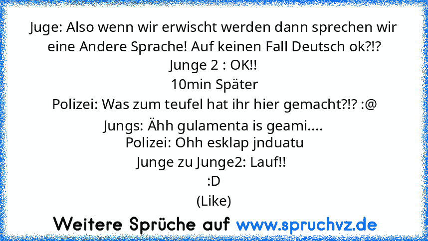 Juge: Also wenn wir erwischt werden dann sprechen wir eine Andere Sprache! Auf keinen Fall Deutsch ok?!?
Junge 2 : OK!!
10min Später
Polizei: Was zum teufel hat ihr hier gemacht?!? :@
Jungs: Ähh gulamenta is geami....
Polizei: Ohh esklap jnduatu
Junge zu Junge2: Lauf!! 
:D
(Like)