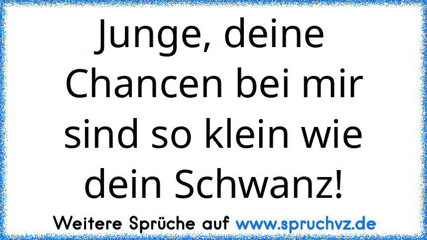 Junge, deine Chancen bei mir sind so klein wie dein Schwanz!