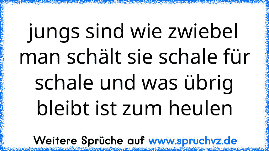 jungs sind wie zwiebel man schält sie schale für schale und was übrig bleibt ist zum heulen