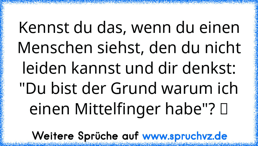 Kennst du das, wenn du einen Menschen siehst, den du nicht leiden kannst und dir denkst: "Du bist der Grund warum ich einen Mittelfinger habe"? ツ