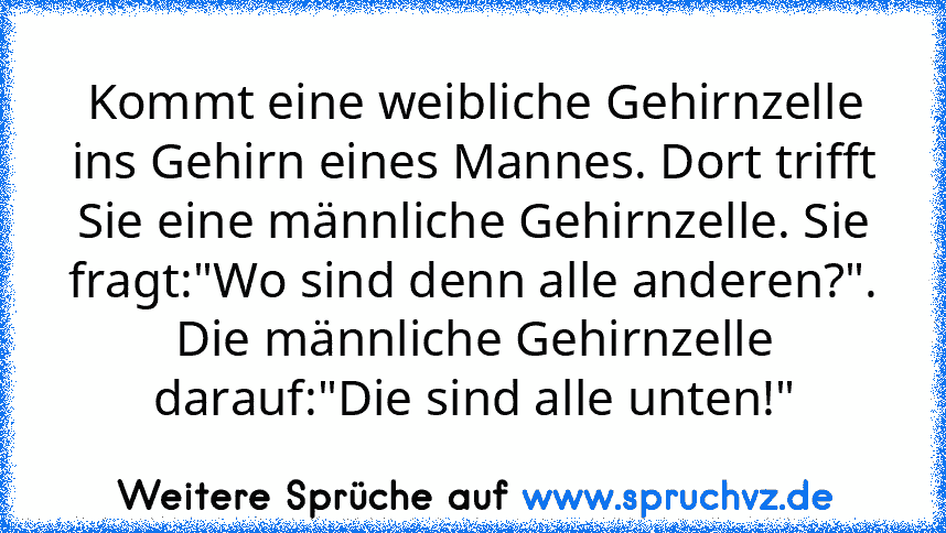 Kommt eine weibliche Gehirnzelle ins Gehirn eines Mannes. Dort trifft Sie eine männliche Gehirnzelle. Sie fragt:"Wo sind denn alle anderen?". Die männliche Gehirnzelle darauf:"Die sind alle unten!"