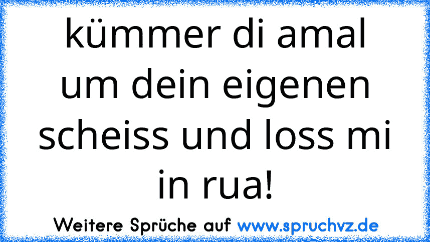 kümmer di amal um dein eigenen scheiss und loss mi in rua!