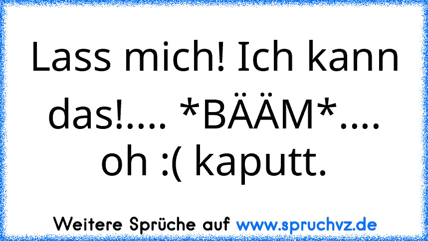 Lass mich! Ich kann das!.... *BÄÄM*.... oh :( kaputt.