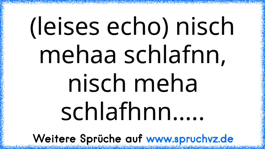 (leises echo) nisch mehaa schlafnn, nisch meha schlafhnn.....