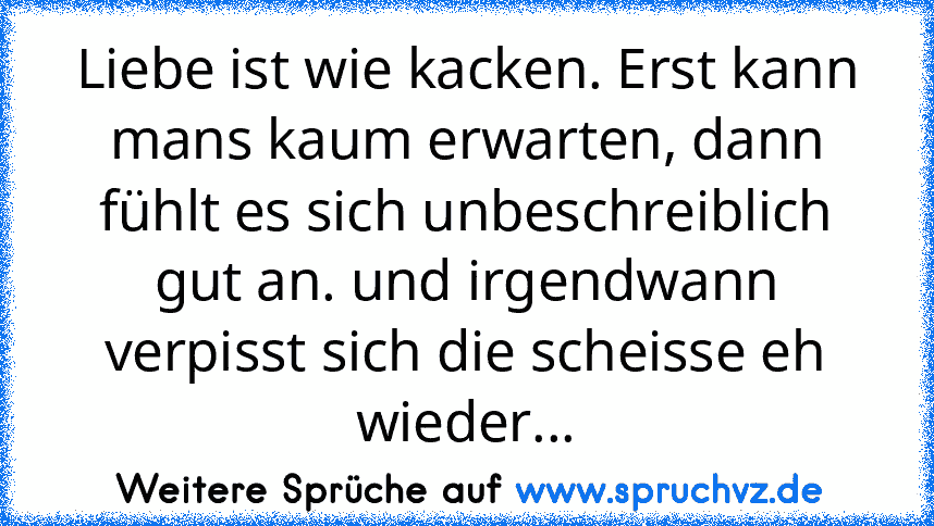 Liebe ist wie kacken. Erst kann mans kaum erwarten, dann fühlt es sich unbeschreiblich gut an. und irgendwann verpisst sich die scheisse eh wieder...