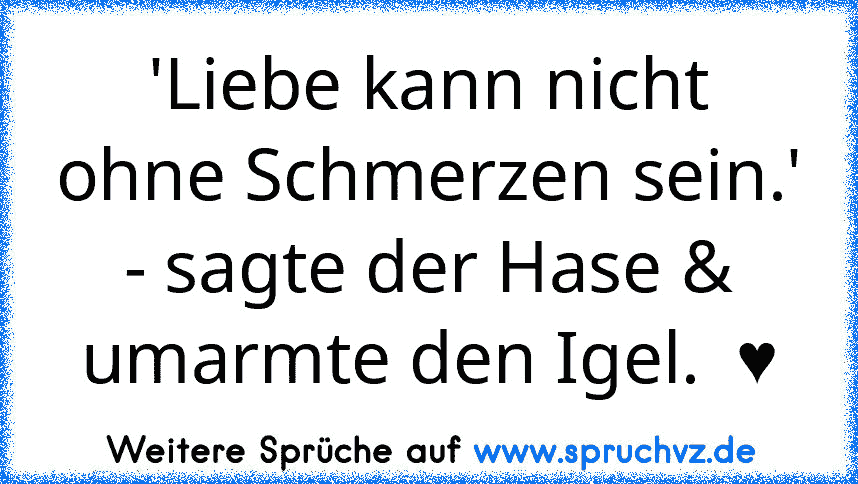 'Liebe kann nicht ohne Schmerzen sein.' - sagte der Hase & umarmte den Igel.  ♥