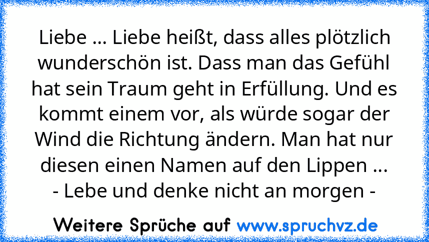 Liebe ... Liebe heißt, dass alles plötzlich wunderschön ist. Dass man das Gefühl hat sein Traum geht in Erfüllung. Und es kommt einem vor, als würde sogar der Wind die Richtung ändern. Man hat nur diesen einen Namen auf den Lippen ...
- Lebe und denke nicht an morgen -