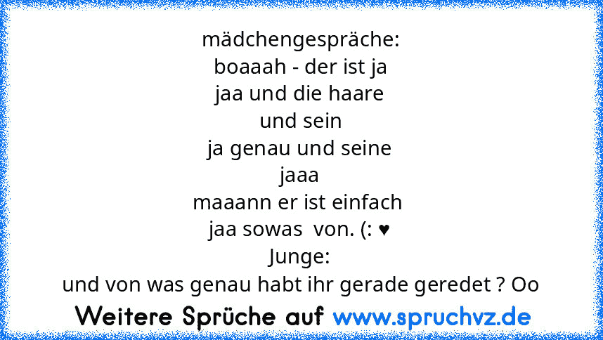 mädchengespräche:
boaaah - der ist ja
jaa und die haare
und sein
ja genau und seine
jaaa
maaann er ist einfach 
jaa sowas  von. (: ♥
Junge:
und von was genau habt ihr gerade geredet ? Oo