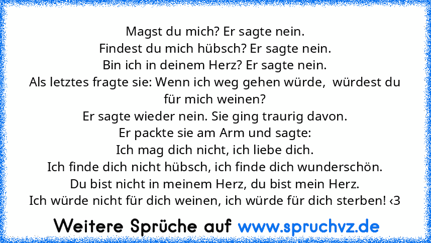 Magst du mich? Er sagte nein.
Findest du mich hübsch? Er sagte nein.
Bin ich in deinem Herz? Er sagte nein.
Als letztes fragte sie: Wenn ich weg gehen würde,  würdest du für mich weinen?
Er sagte wieder nein. Sie ging traurig davon.
Er packte sie am Arm und sagte:
Ich mag dich nicht, ich liebe dich.
Ich finde dich nicht hübsch, ich finde dich wunderschön.
Du bist nicht in meinem Herz, du bist m...