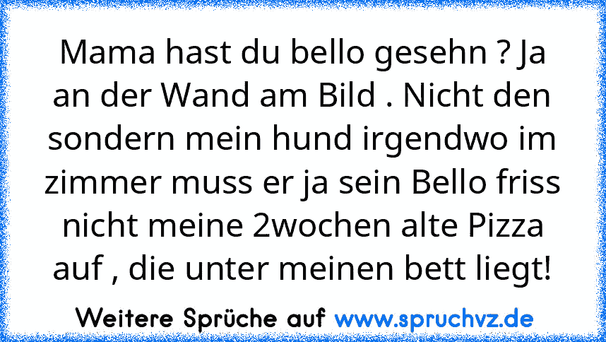 Mama hast du bello gesehn ? Ja an der Wand am Bild . Nicht den sondern mein hund irgendwo im zimmer muss er ja sein Bello friss nicht meine 2wochen alte Pizza auf , die unter meinen bett liegt!