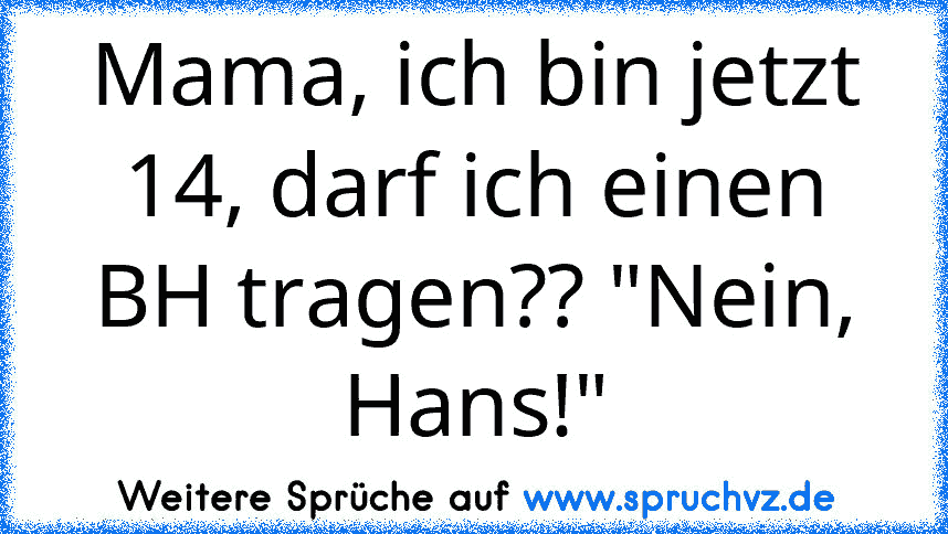 Mama, ich bin jetzt 14, darf ich einen BH tragen?? "Nein, Hans!"