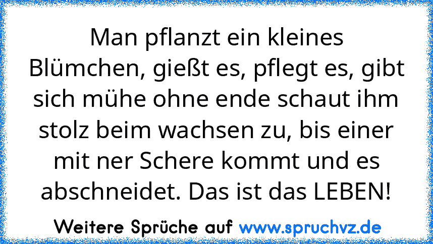 Man pflanzt ein kleines Blümchen, gießt es, pflegt es, gibt sich mühe ohne ende schaut ihm stolz beim wachsen zu, bis einer mit ner Schere kommt und es abschneidet. Das ist das LEBEN!