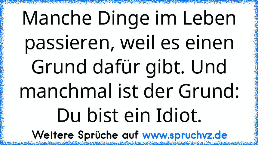 Manche Dinge im Leben passieren, weil es einen Grund dafür gibt. Und manchmal ist der Grund: Du bist ein Idiot.