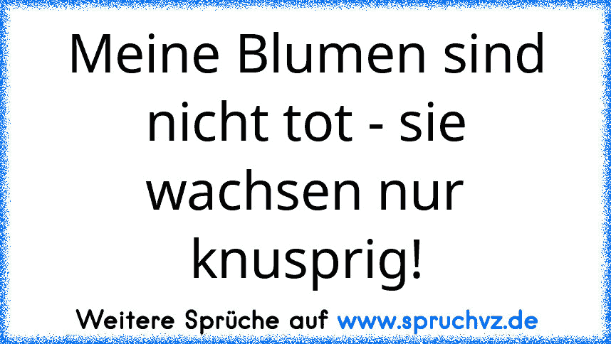 Meine Blumen sind nicht tot - sie wachsen nur knusprig!