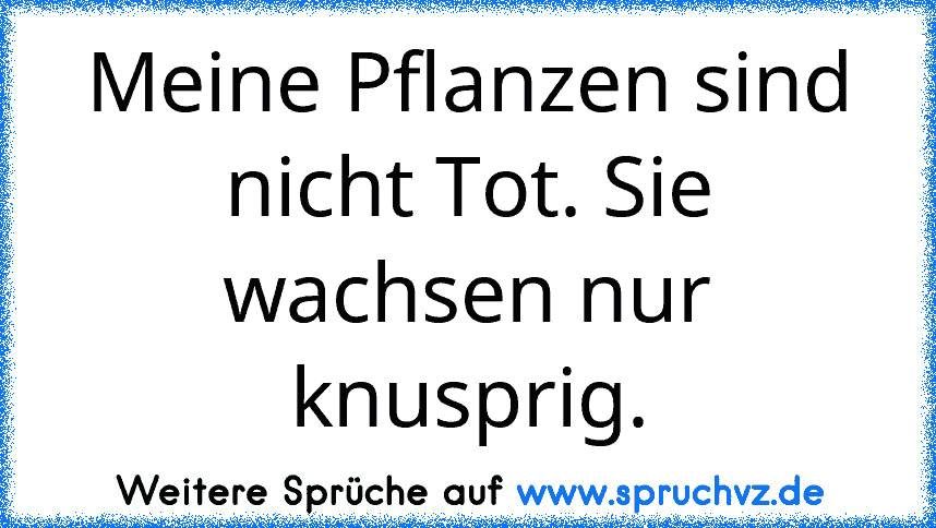 Meine Pflanzen sind nicht Tot. Sie wachsen nur knusprig.