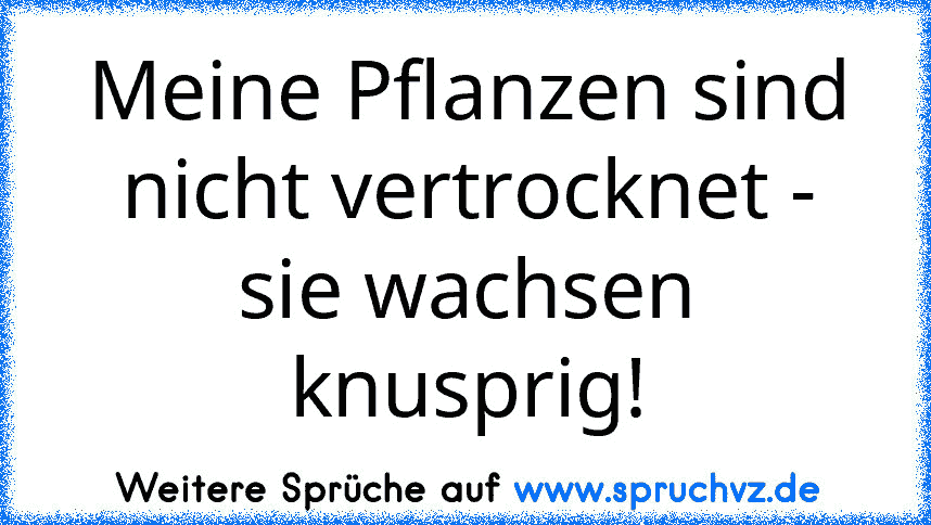 Meine Pflanzen sind nicht vertrocknet - sie wachsen knusprig!