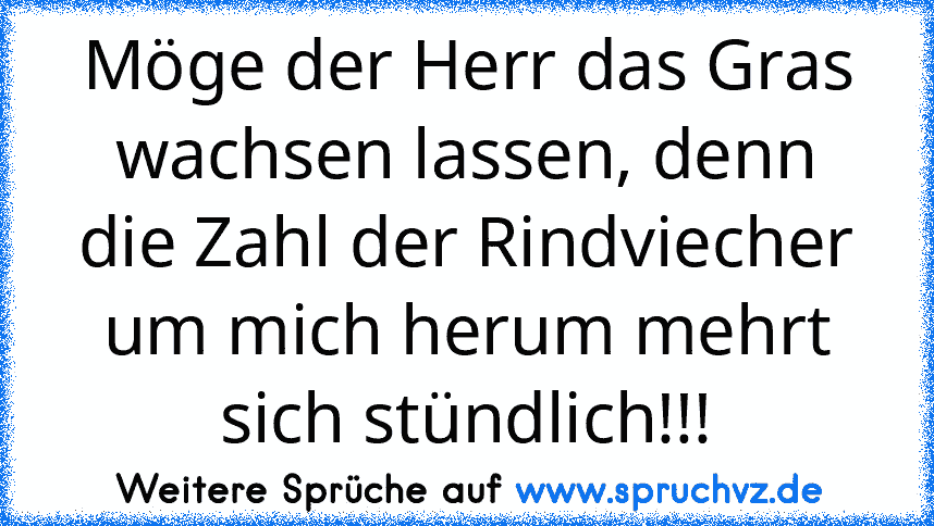 Möge der Herr das Gras wachsen lassen, denn die Zahl der Rindviecher um mich herum mehrt sich stündlich!!!