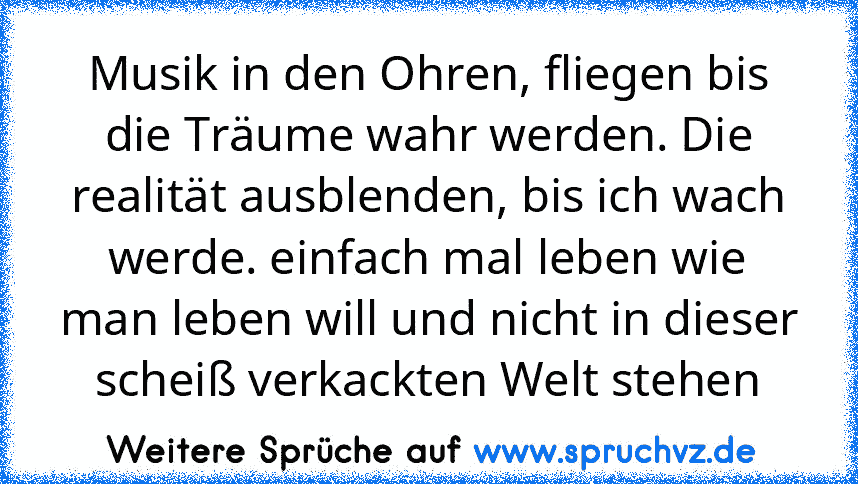 Musik in den Ohren, fliegen bis die Träume wahr werden. Die realität ausblenden, bis ich wach werde. einfach mal leben wie man leben will und nicht in dieser scheiß verkackten Welt stehen