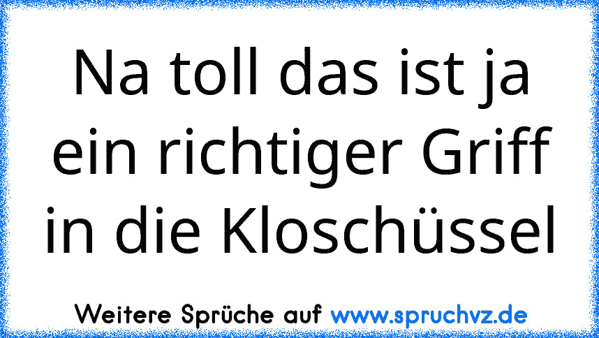 Na toll das ist ja ein richtiger Griff in die Kloschüssel