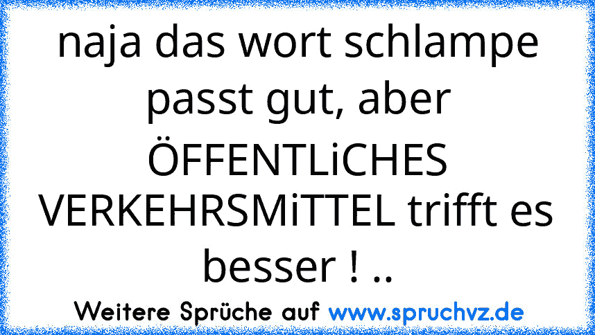 naja das wort schlampe passt gut, aber ÖFFENTLiCHES VERKEHRSMiTTEL trifft es besser ! ..