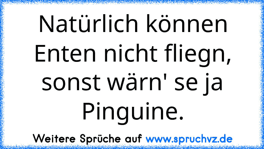 Natürlich können Enten nicht fliegn, sonst wärn' se ja Pinguine.