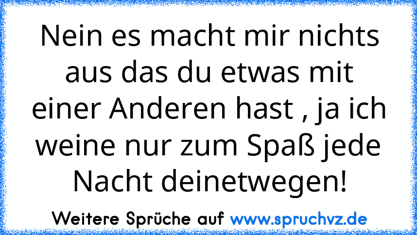 Nein es macht mir nichts aus das du etwas mit einer Anderen hast , ja ich weine nur zum Spaß jede Nacht deinetwegen!